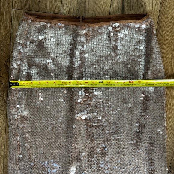 Madewell Sequin Skirt - Picture 6 of 7